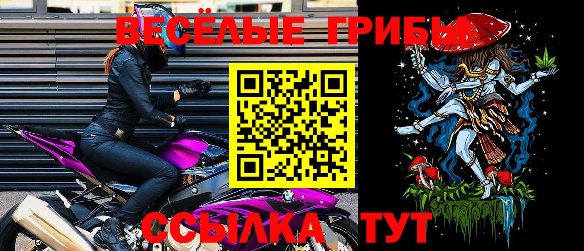 Псилоцибиновые грибы мицелий  Вход с VPN  Дзержинск 