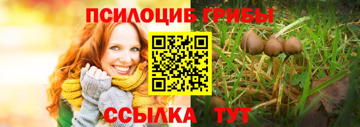 Галлюциногенные грибы MAGIC MUSHROOMS Дзержинск